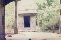 cd7956cf-e7f6-49a2-b8ae-756557de0ea0-Copy